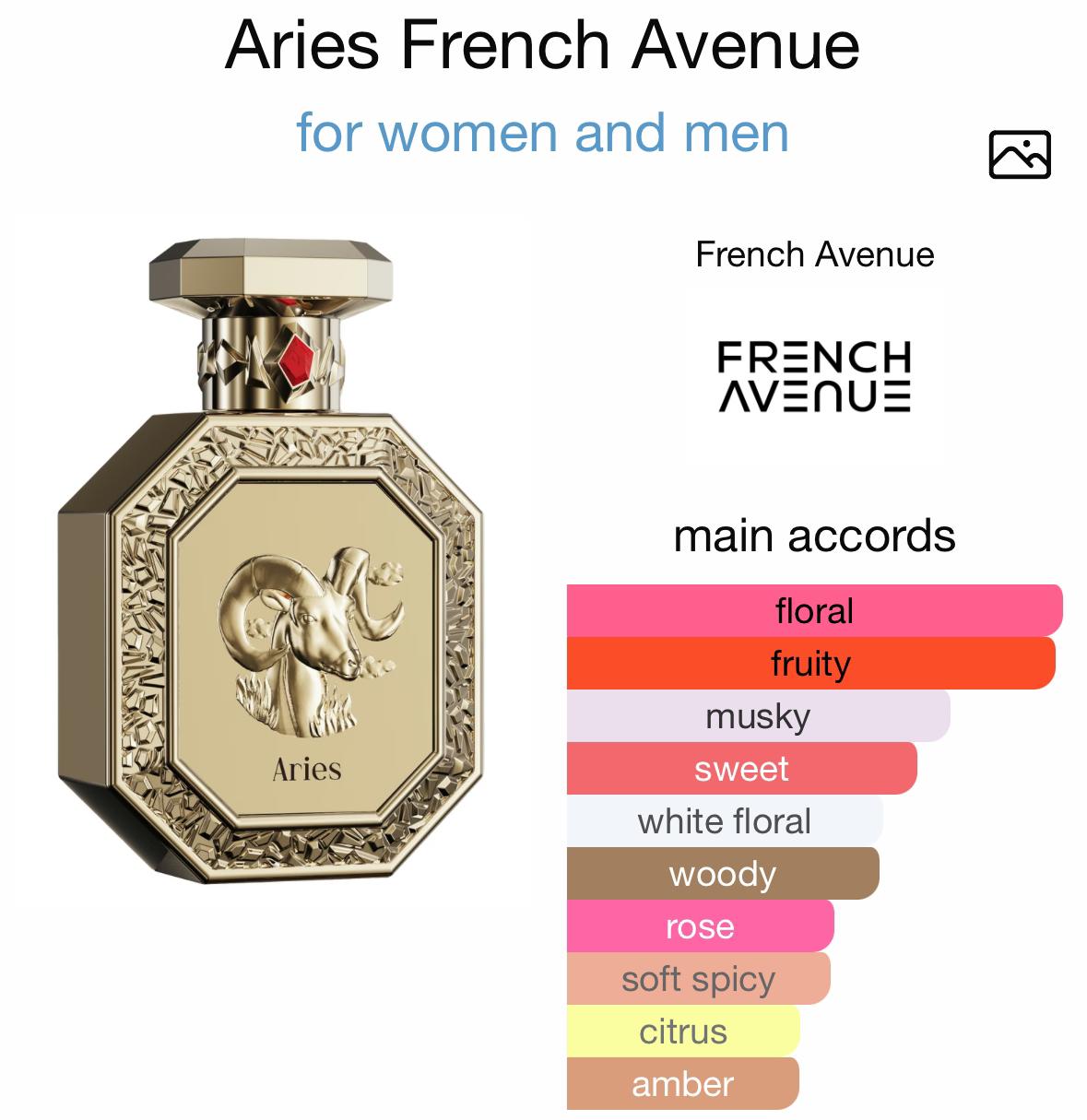 GENESIS by FRENCH AVENUE