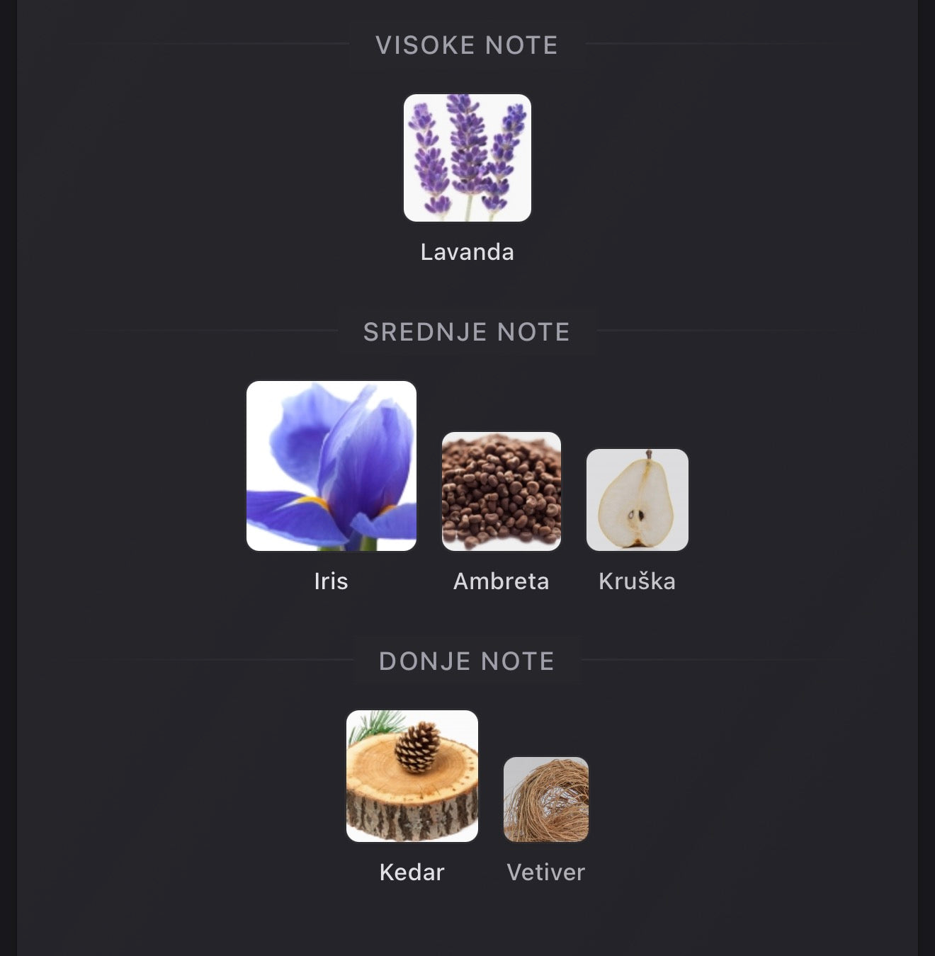 Camaro Homme Intense by Pendora Scents