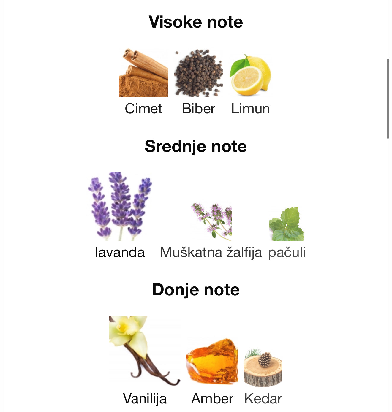 Glacier Ultra by Maison Alhambra