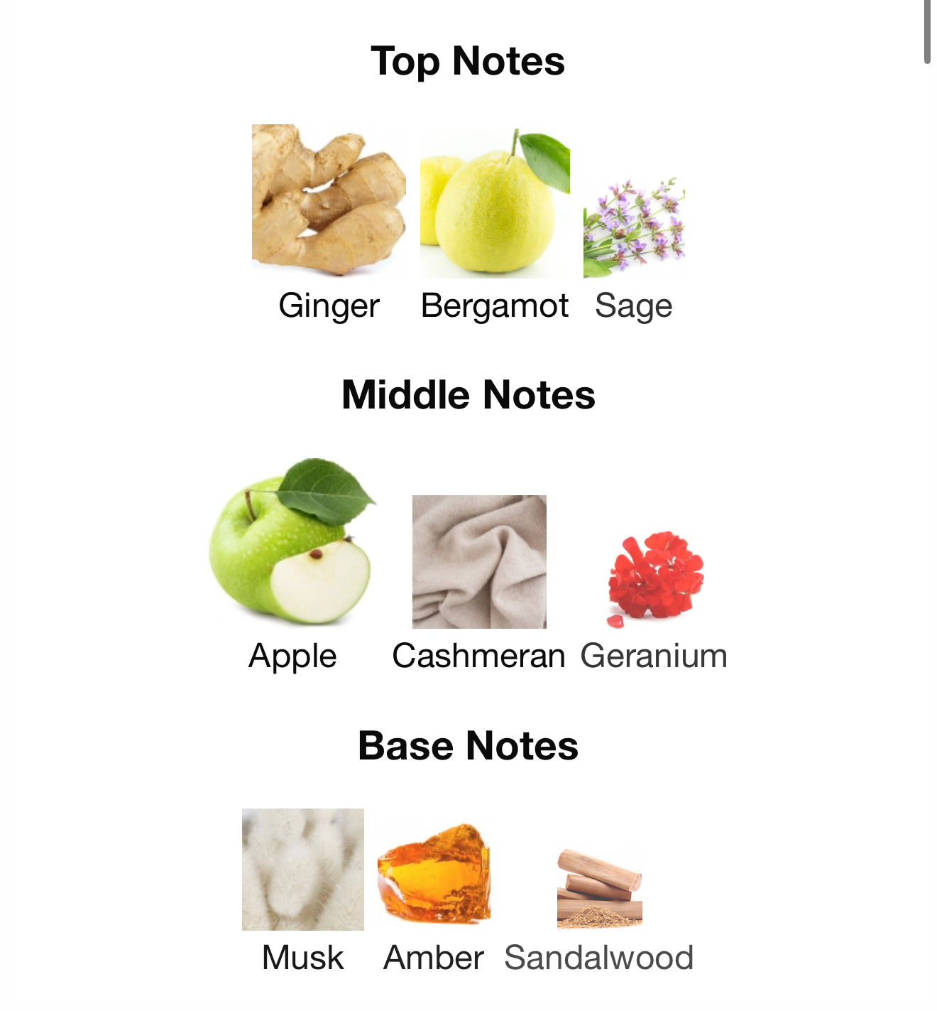 Ameer Al Arab Imperium