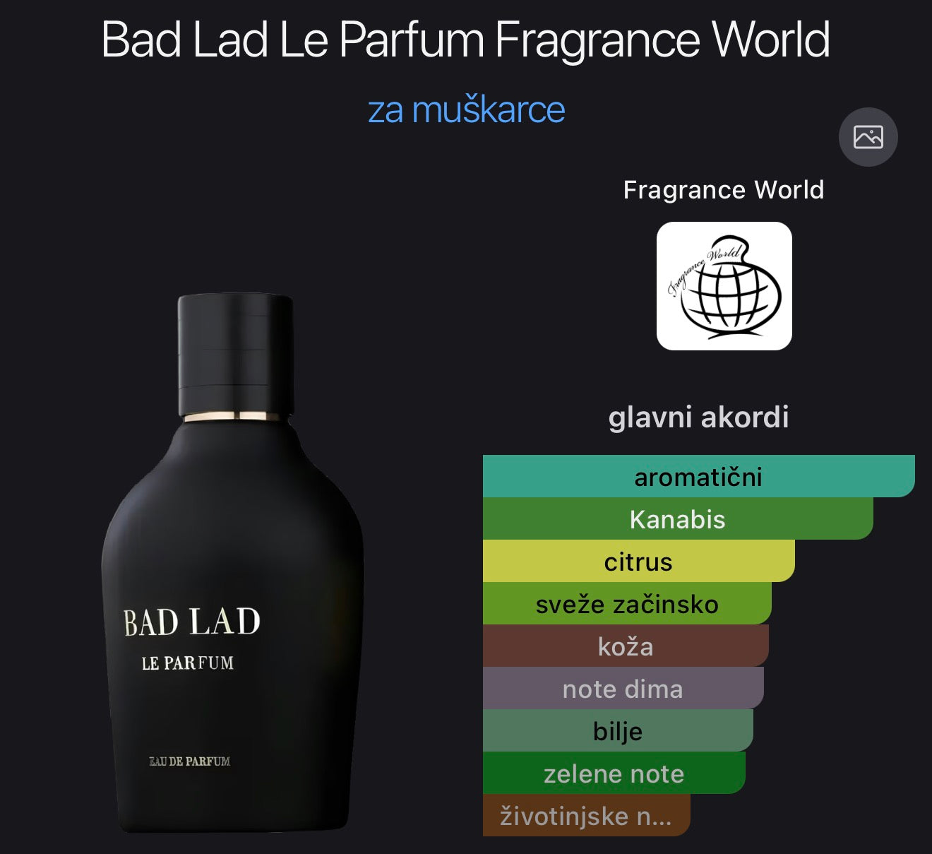 Bad Lad Le Parfum by Fragnance World