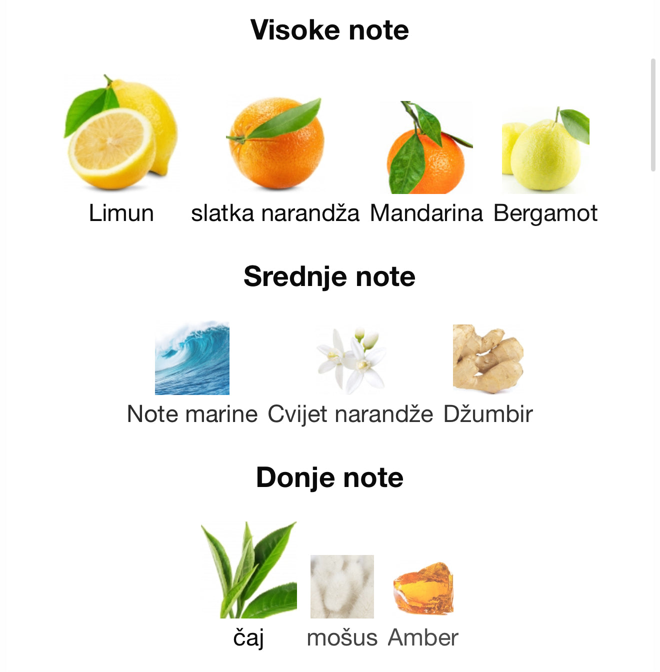 Odyssey Limoni by Armaf