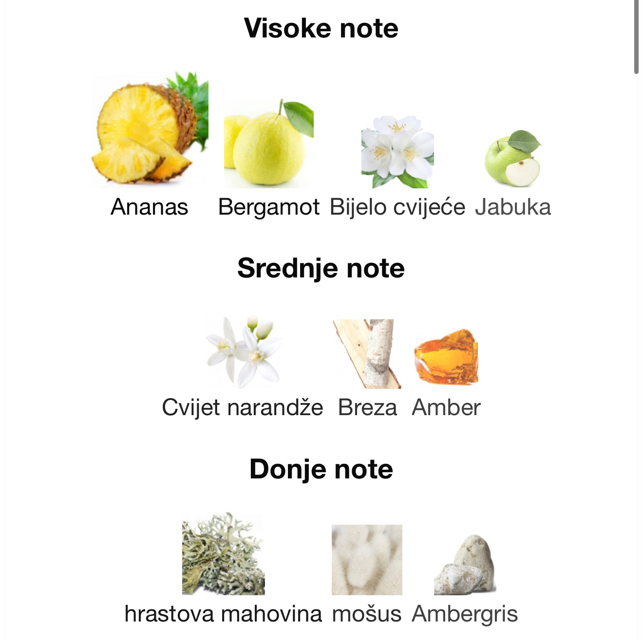 Supremacy Collector's Edition Afnan