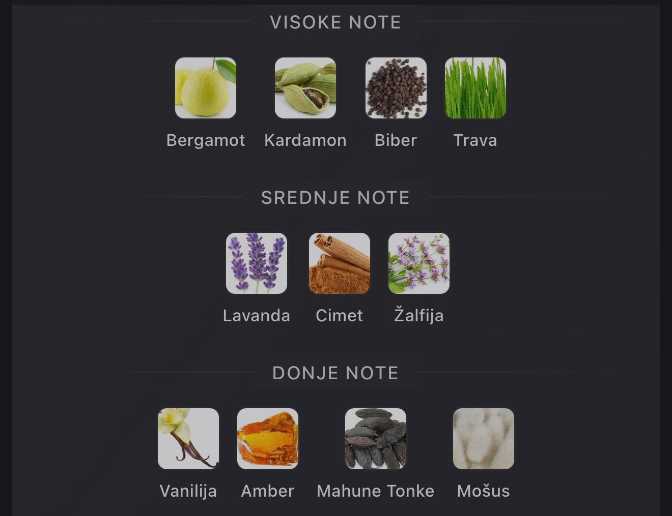 Proud of You Absolute by Fragnance World