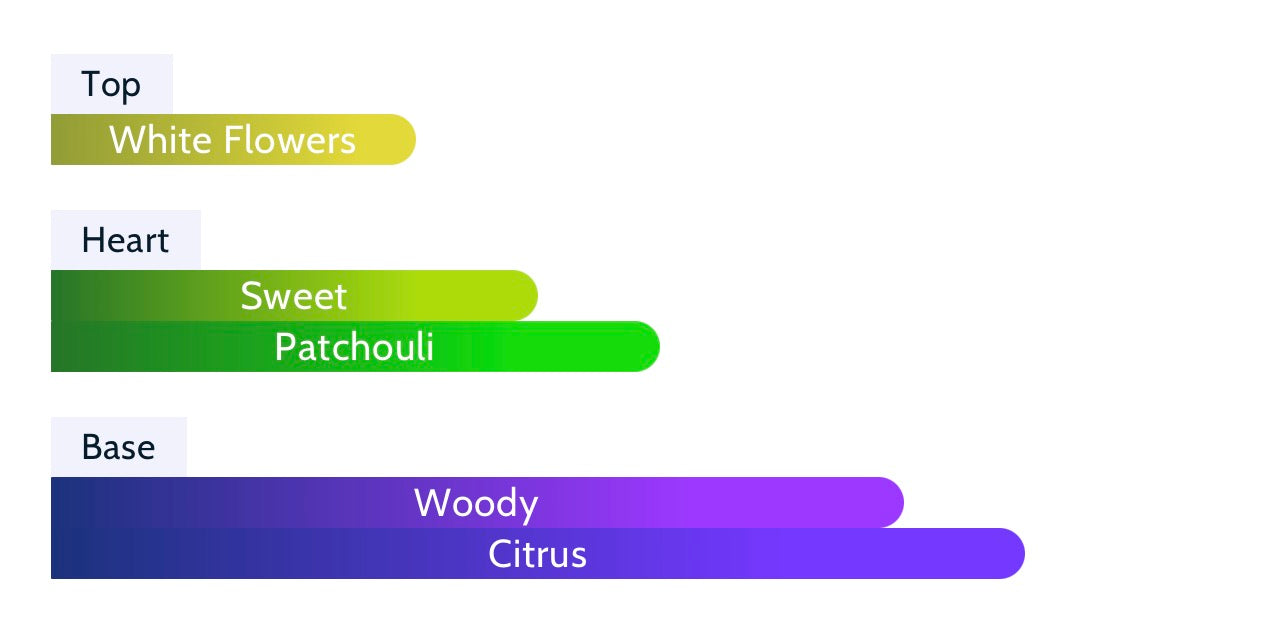 Canal de Moiselle by Fragnance World