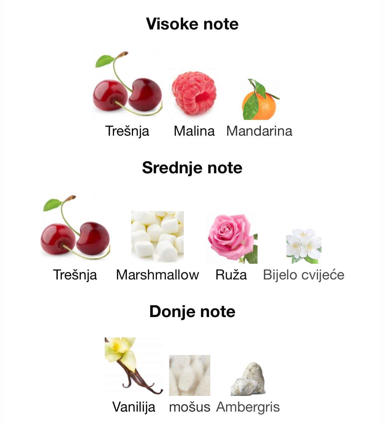 Cherry Kokomo by Gulf Orchid