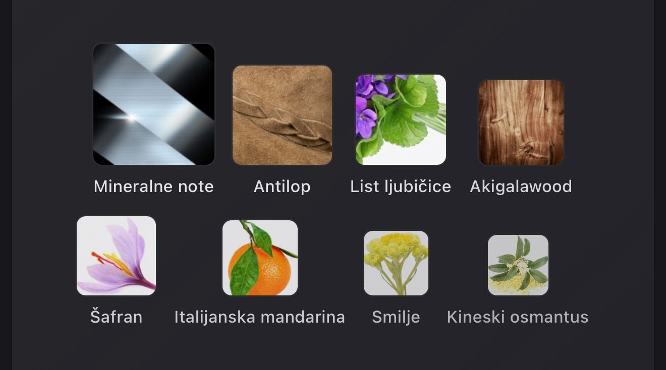 Celestial by Paris Corner