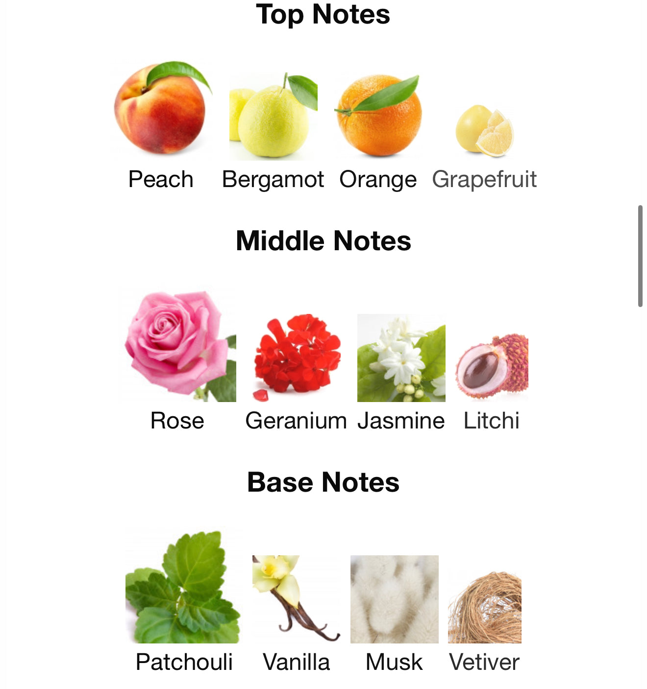 Addicted Madame by Hamidi