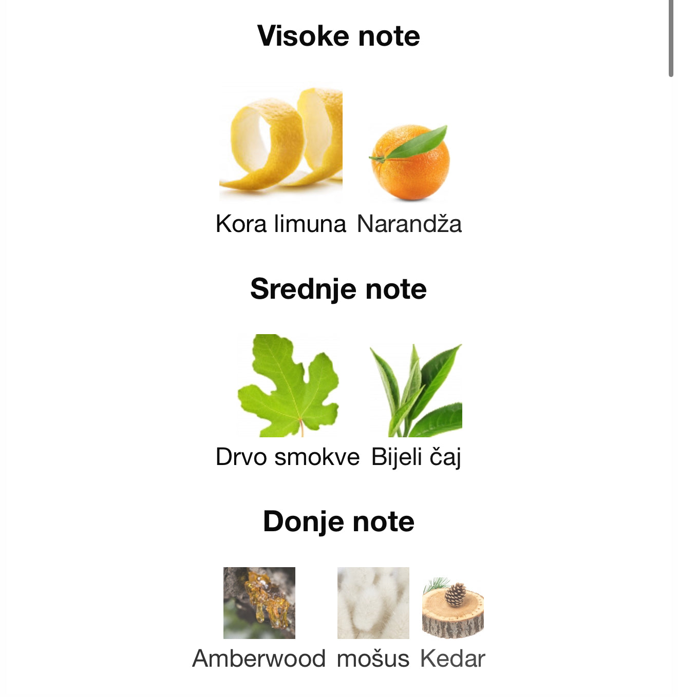 Privè Platinum Silver by Riiffs