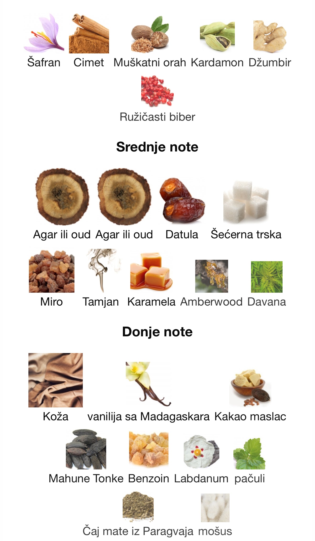 Cocoa Morado by French Avenue