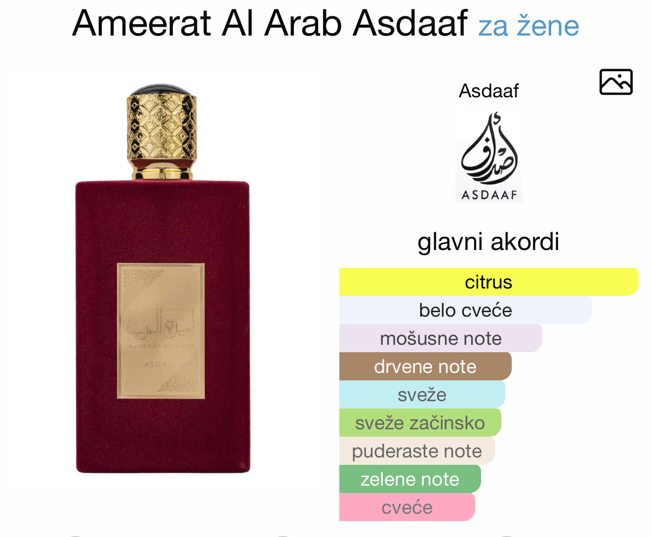 Ameerat Al Arab by Asdaaf