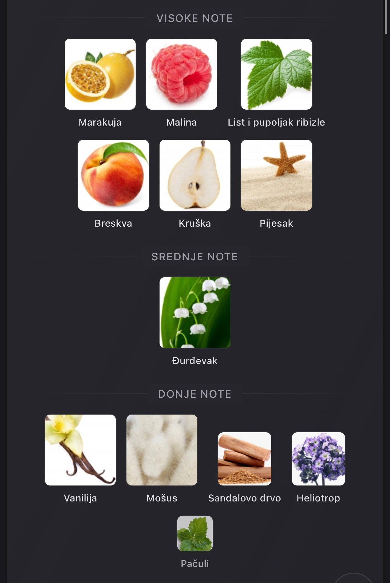 Arcana by Paris Corner