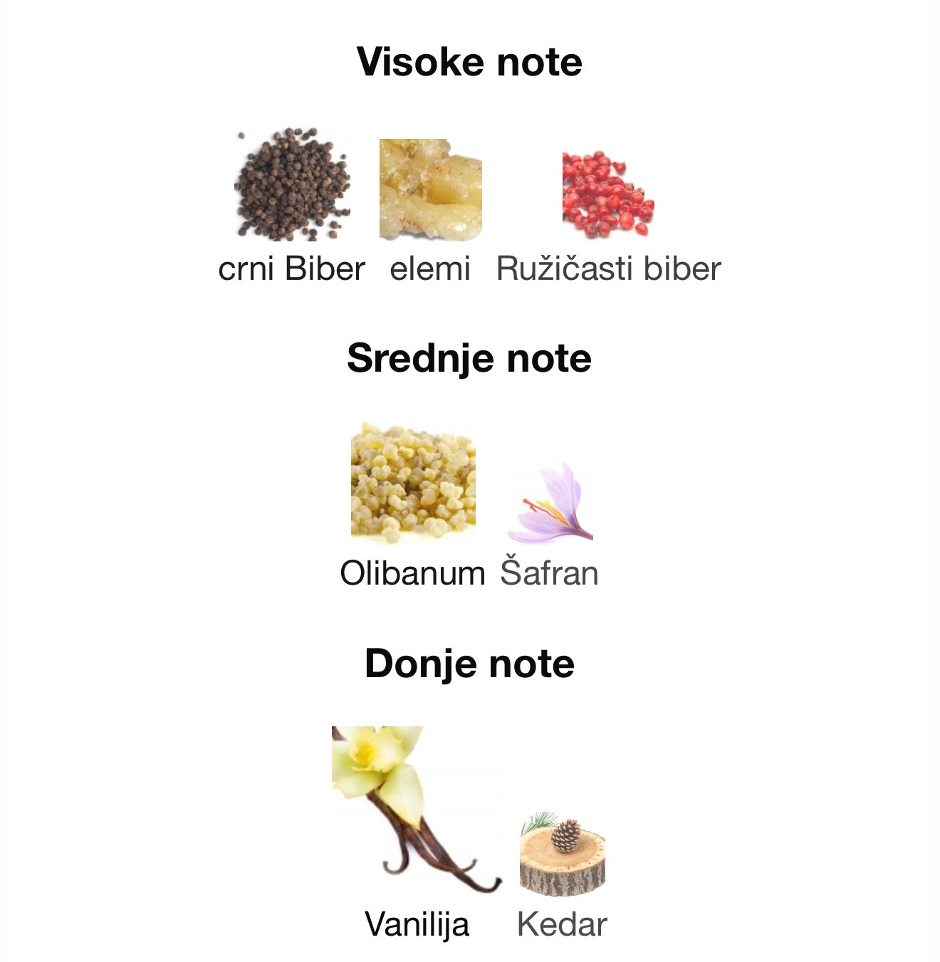 Rifaaqat by Paris Corner