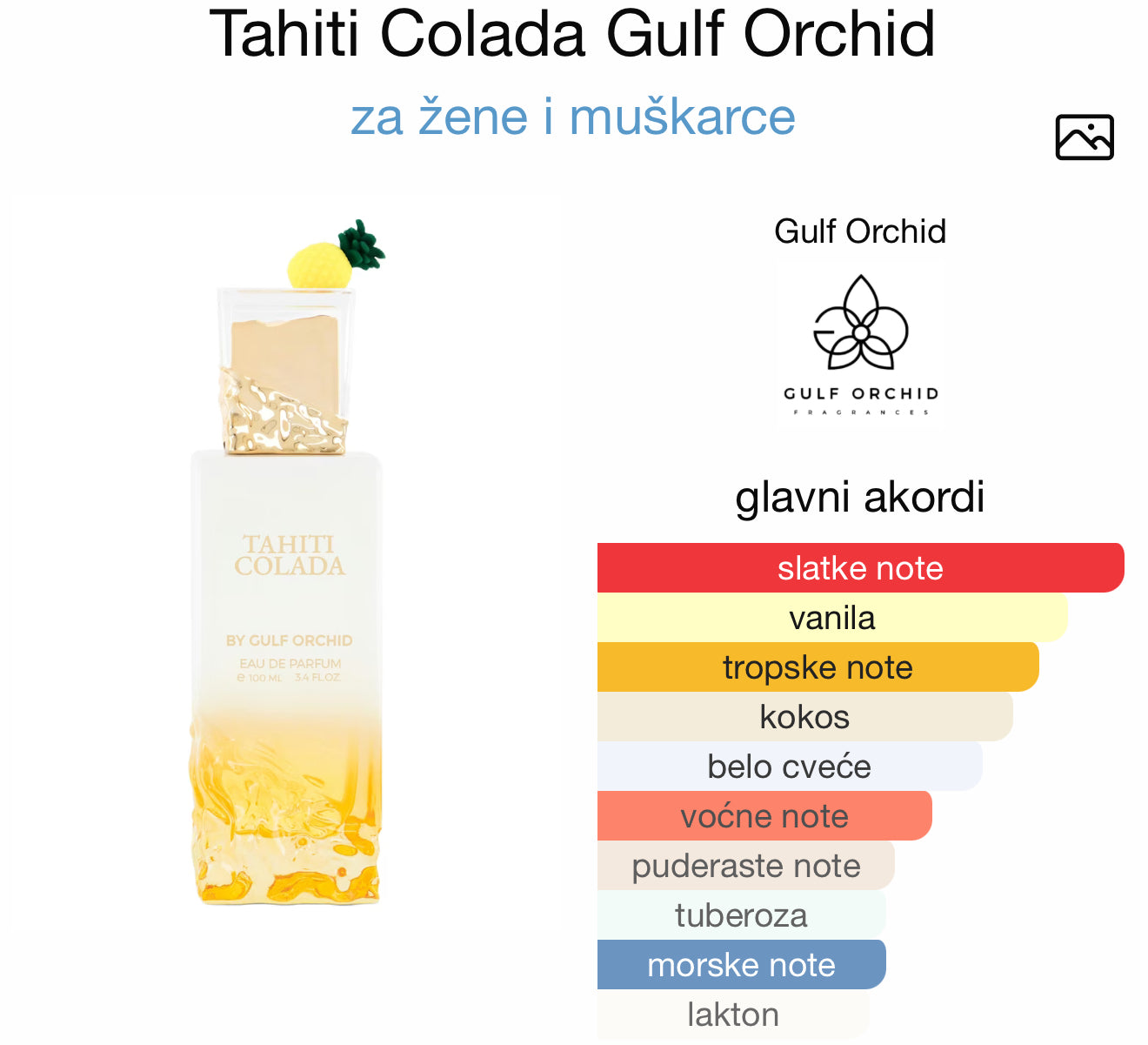 Tahiti Colada by Gulf Orchid
