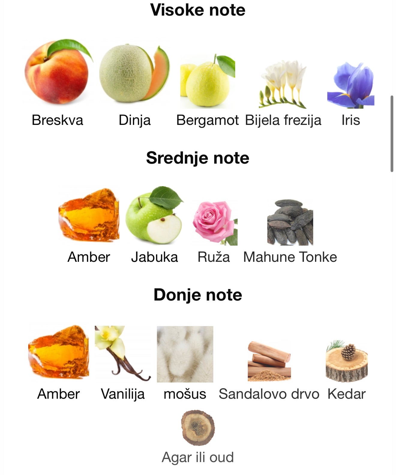 Shaghaf Oud Ahmar by Swiss Arabian