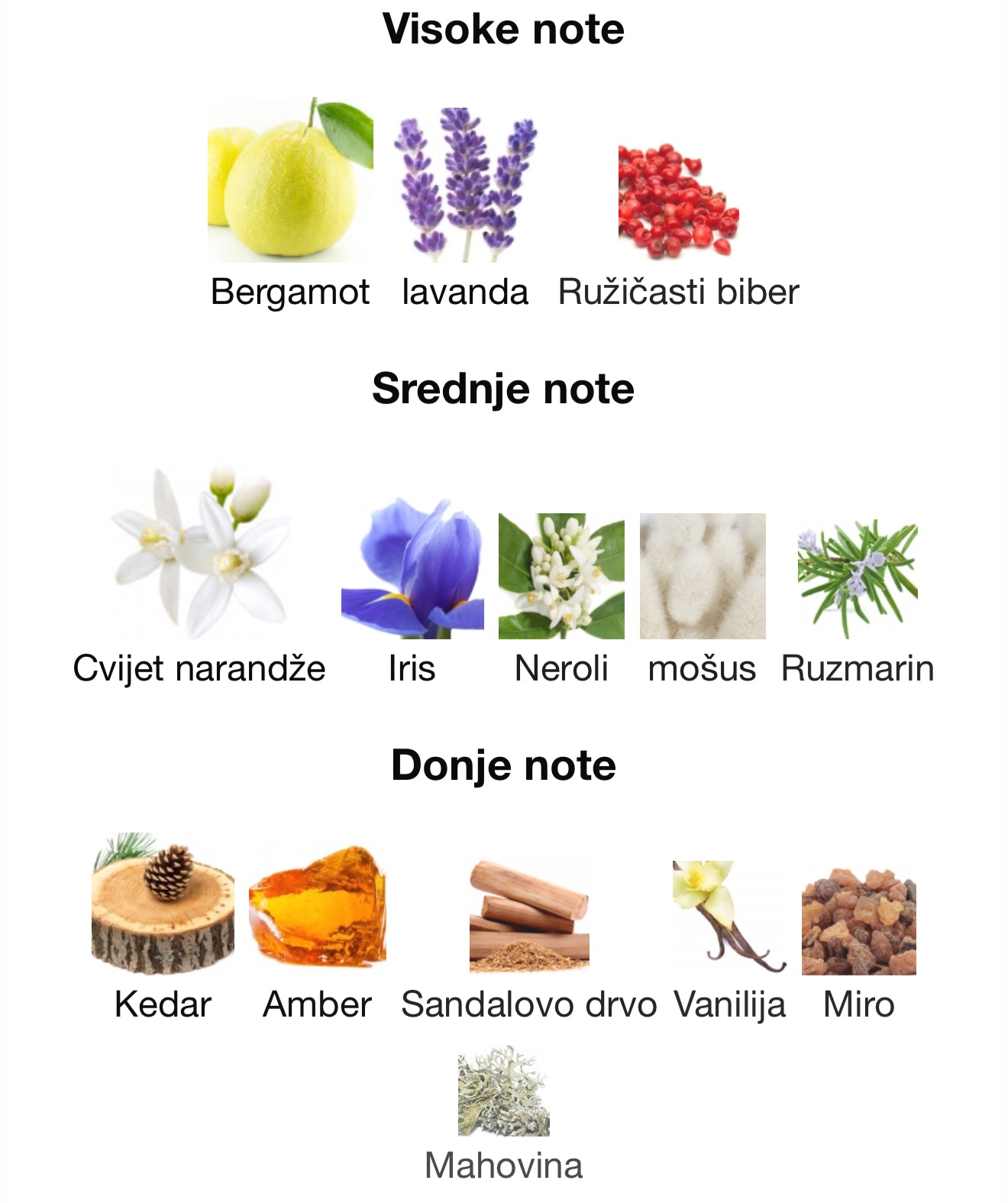 Aromatix Magnetiq by French Avenue
