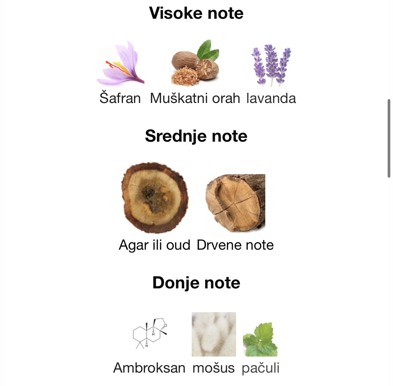 Odyysey Aoud by Armaf