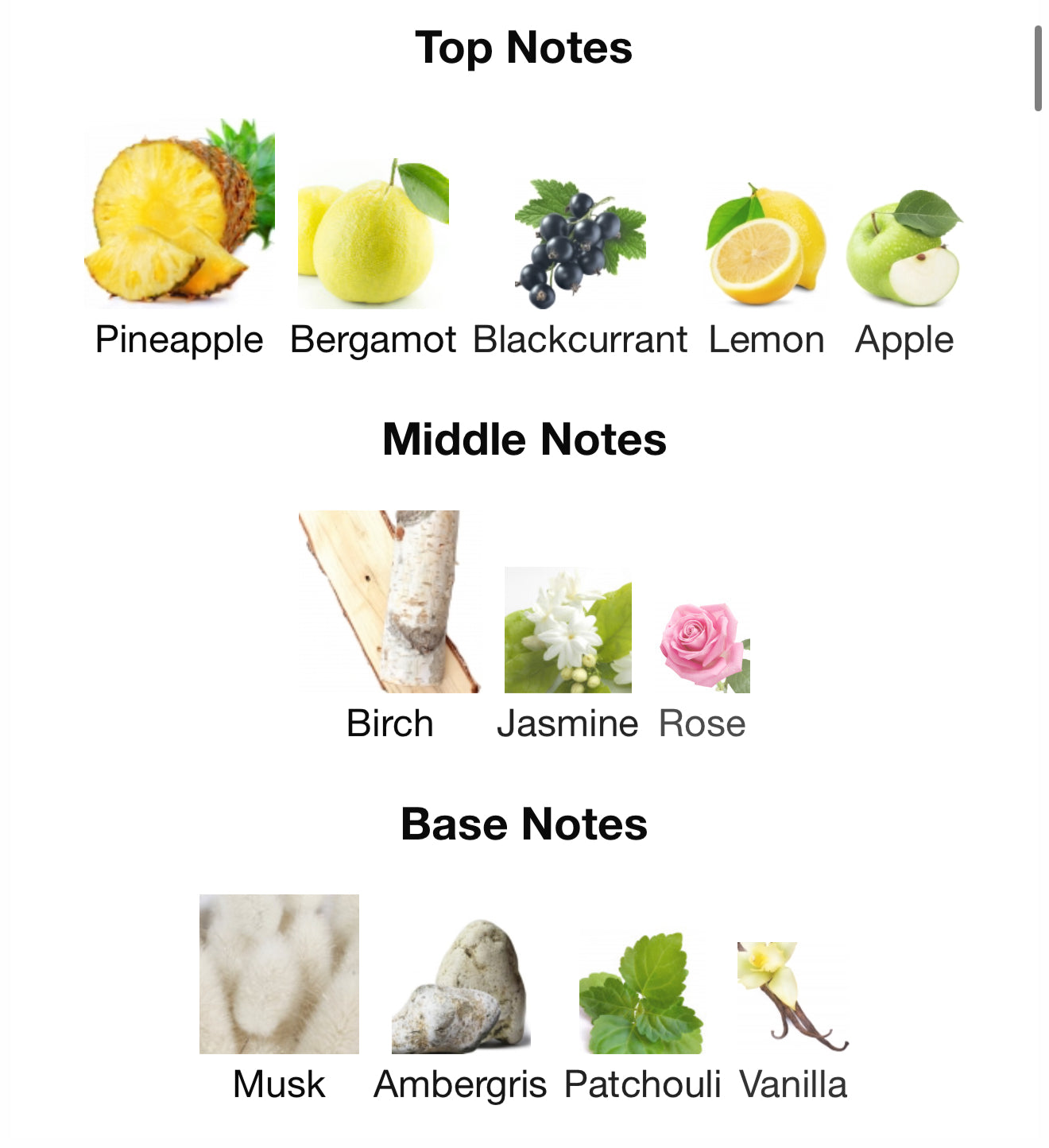 Addicted Intense by Hamidi