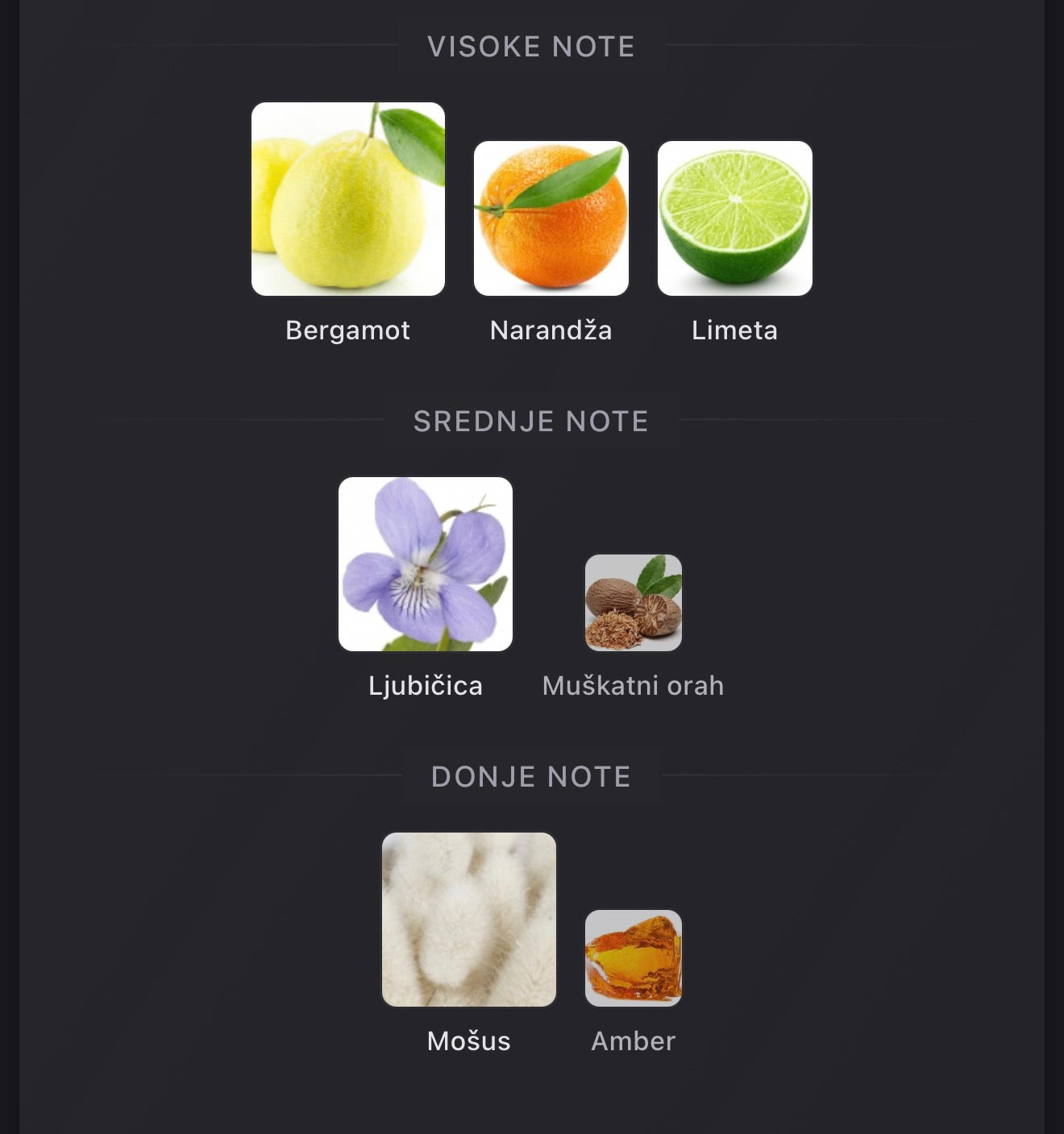 Mousuf Azure by Ard Al Zaafaran