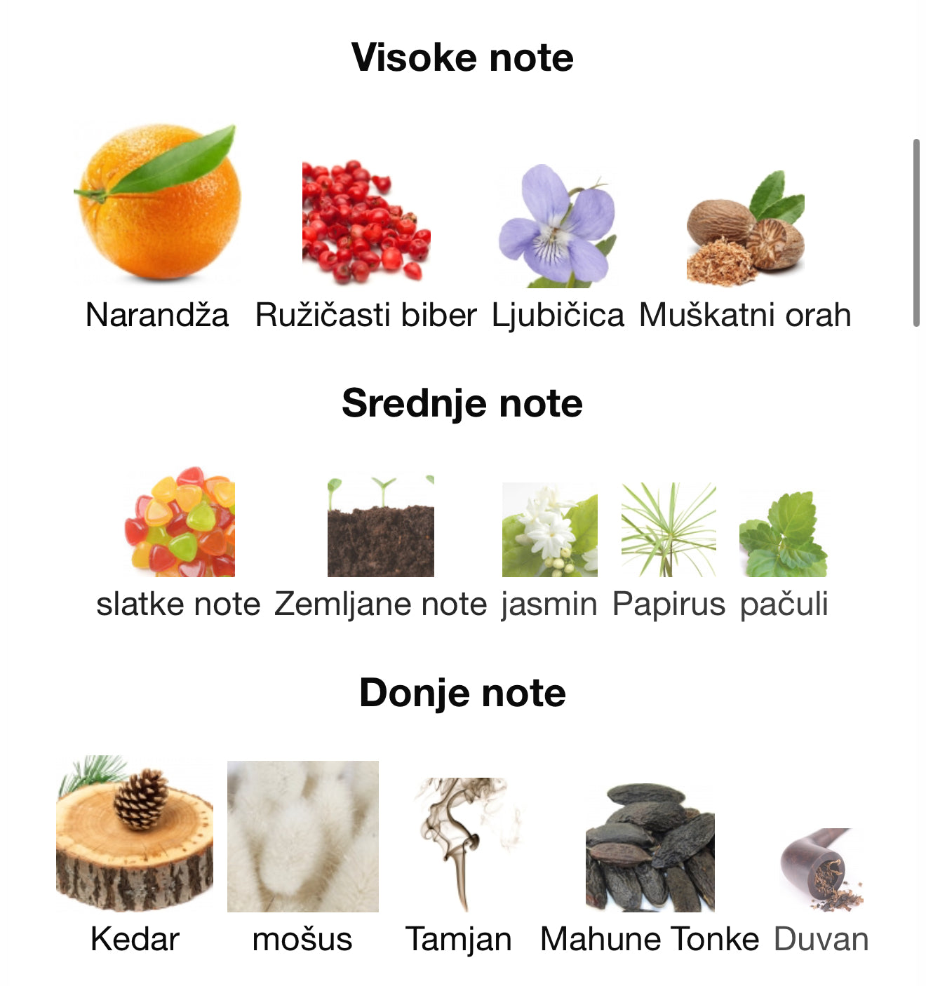 Man Black Edition by Maison Alhambra