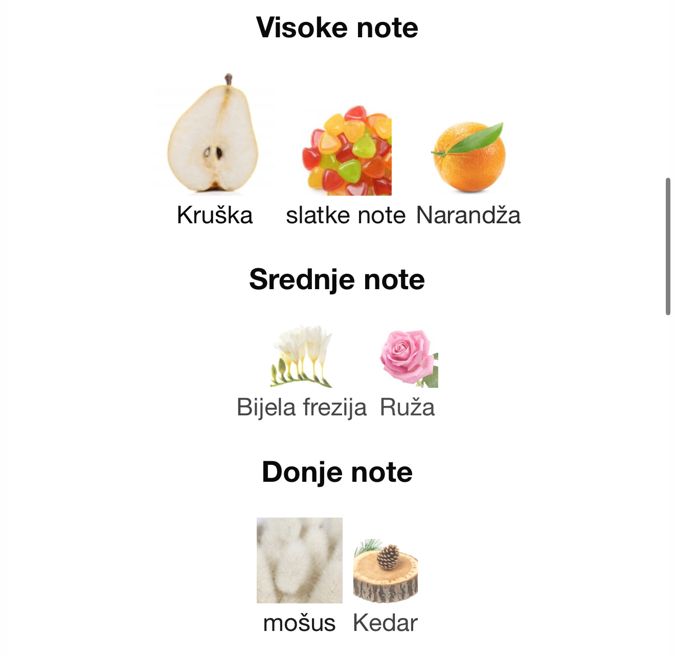 Azure Royal Ahmed Al Maghribi