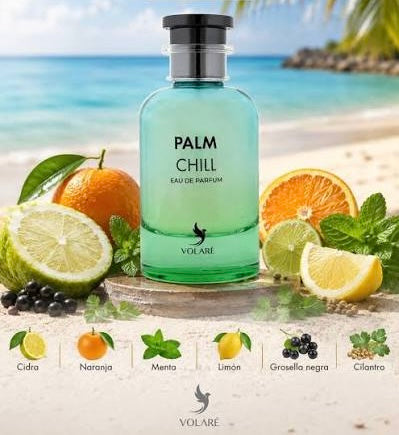 Palm Chill Volare