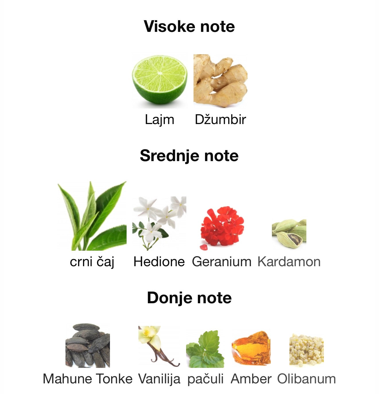 Aromatix Teas Me by French Avenue