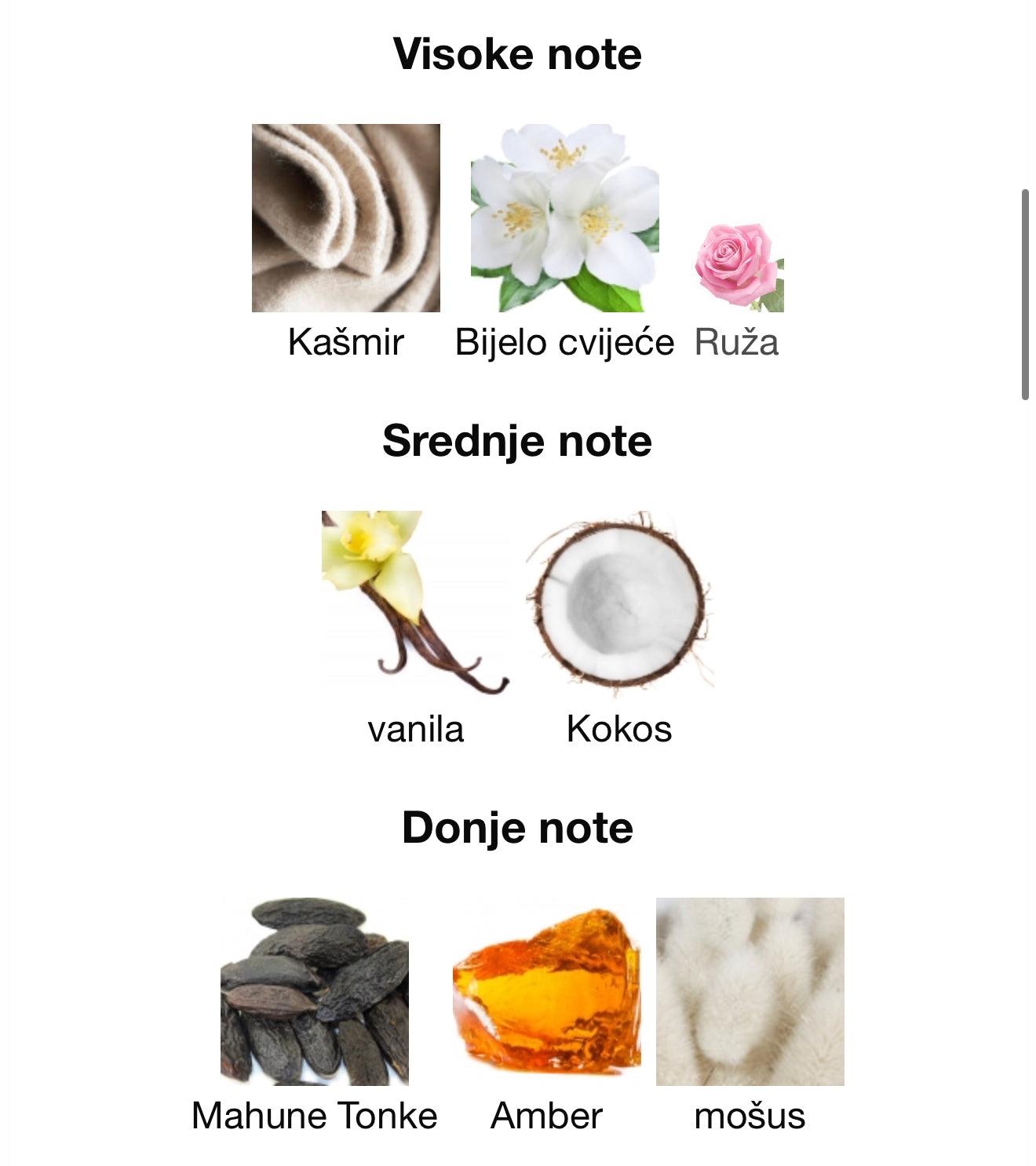 Fleurie Violette by Riiffs