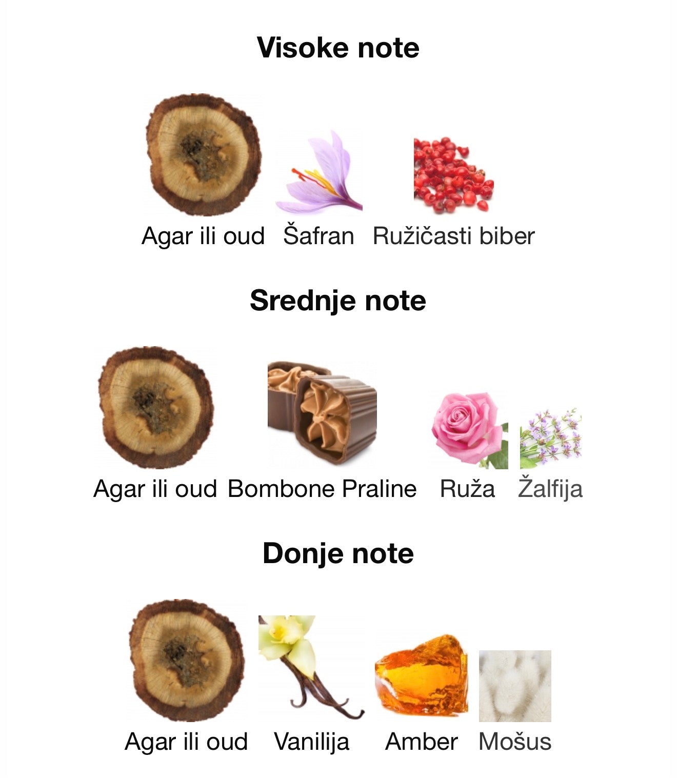 Shaghaf Oud Elixir by Swiss Arabian