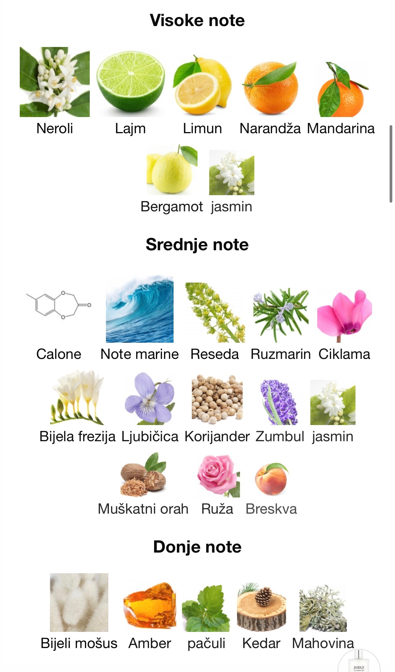 Jorge Di Aqua by Maison Alhambra