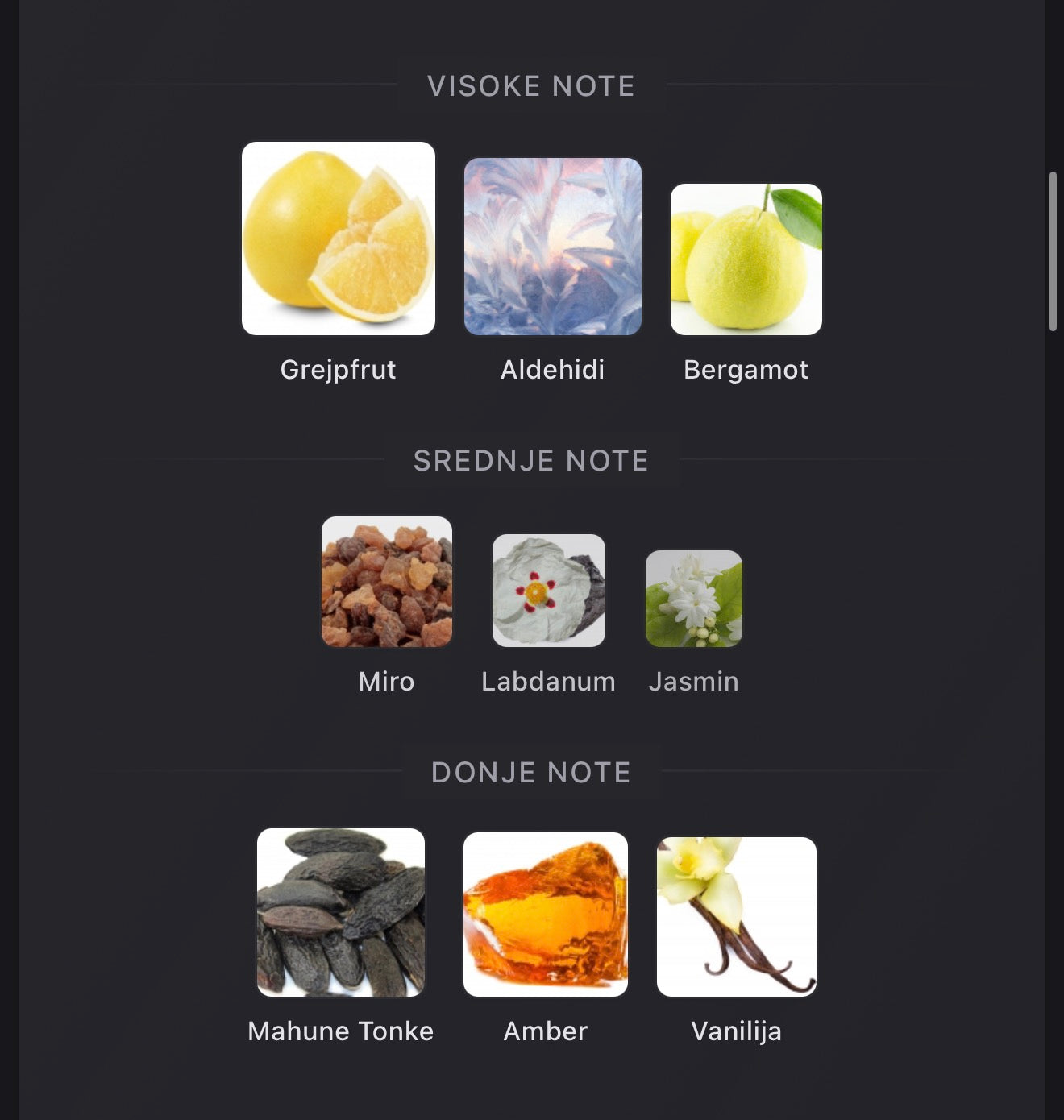 Obsidian by French Avenue