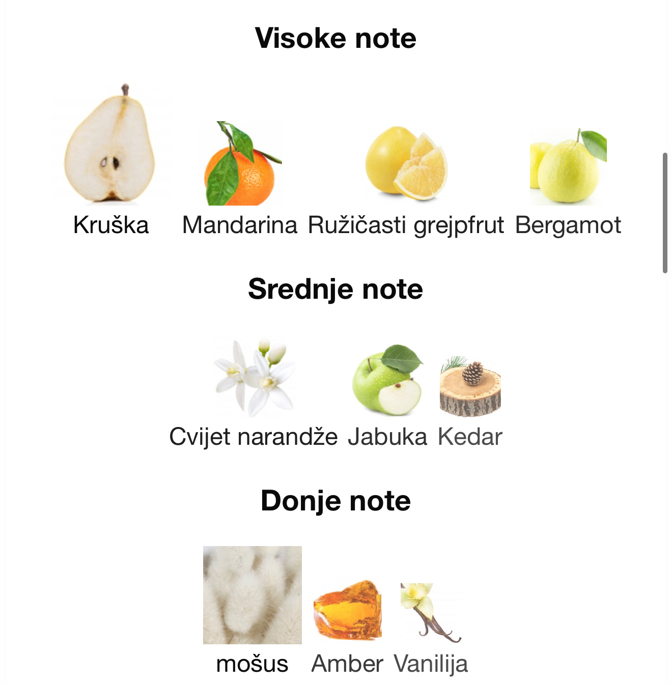 Turathi Electric by Afnan