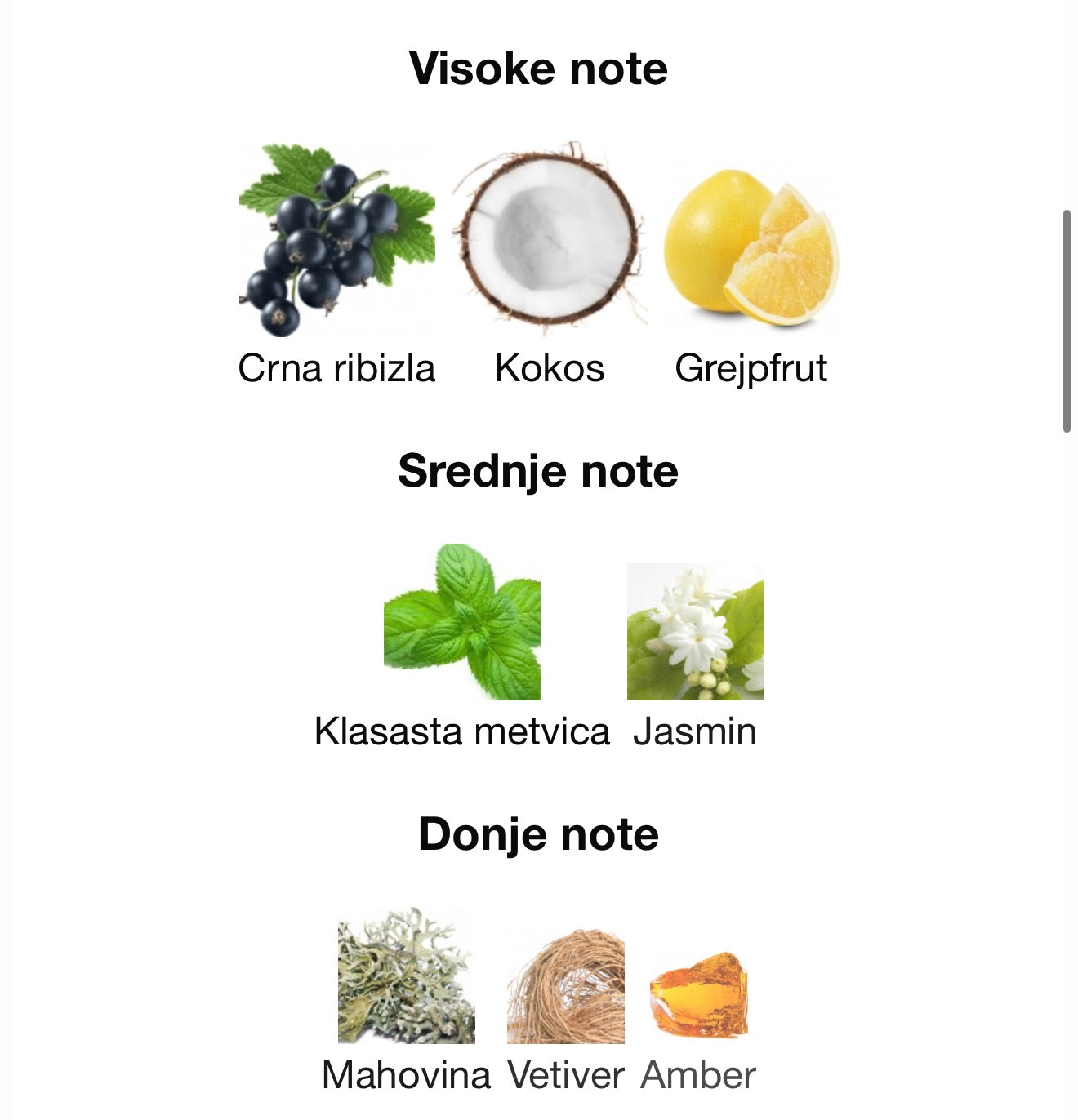 Safari Breeze by French Avenue