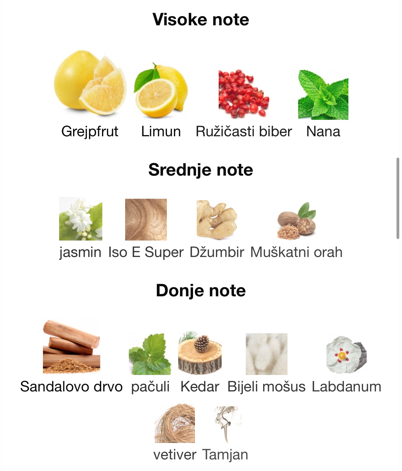 Blue Ahmed Al Maghribi