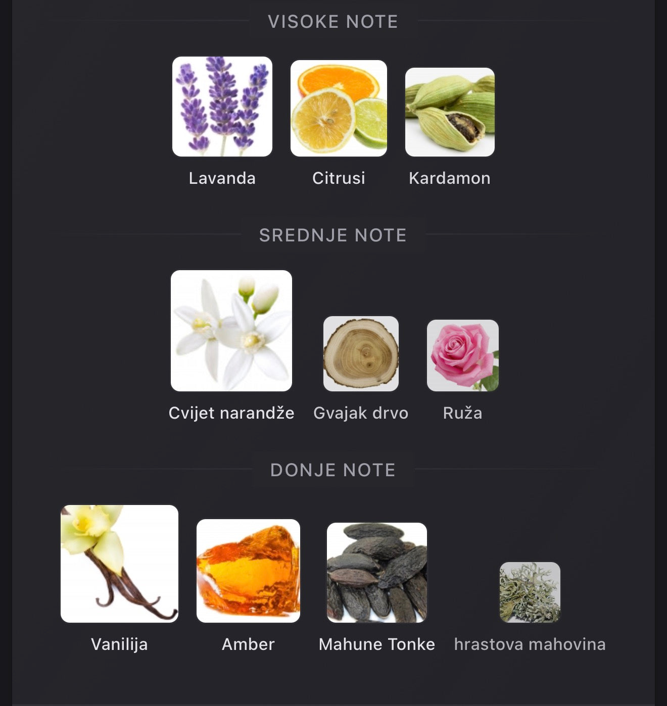 Liquid Brun Limited Edition by French Avenue