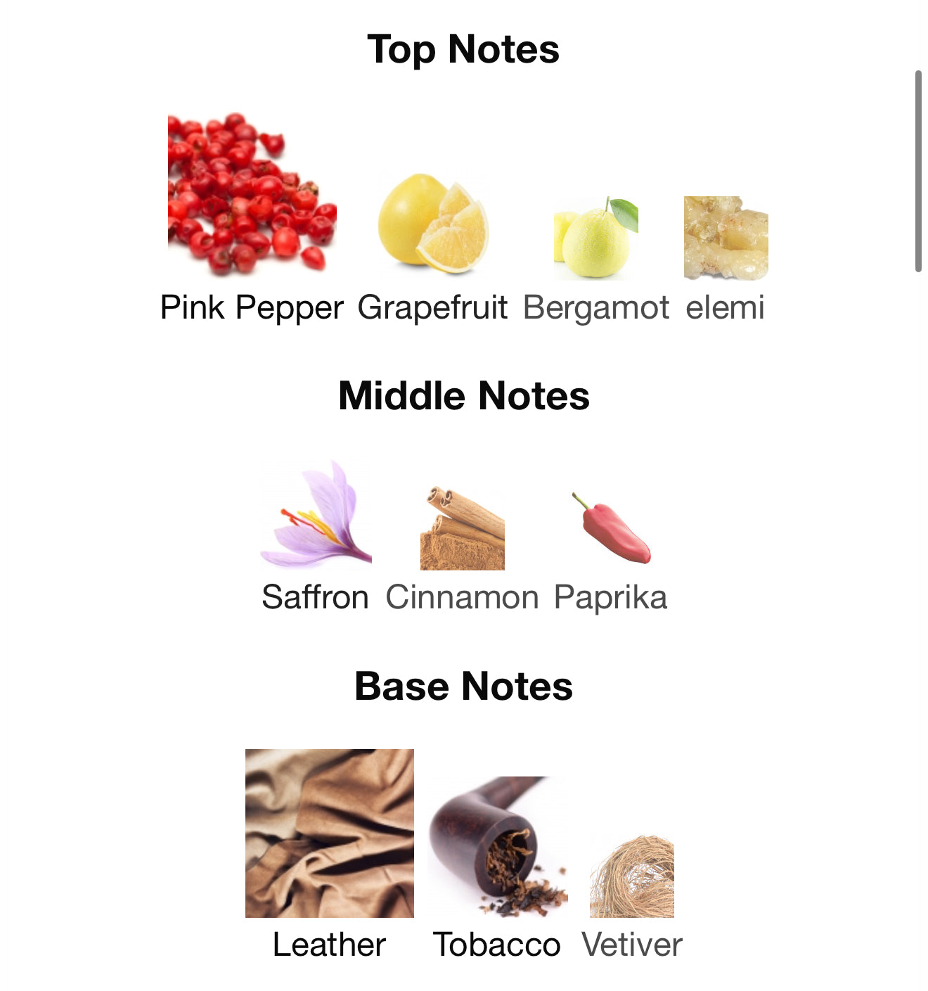 Genesis Alpha by Risala Elite