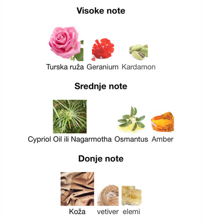 Sultry Woods by French Avenue