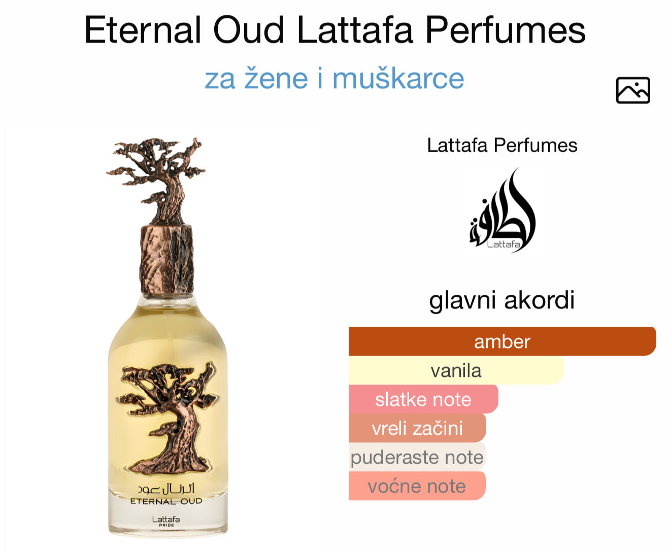 Eternal Oud by Lattafa