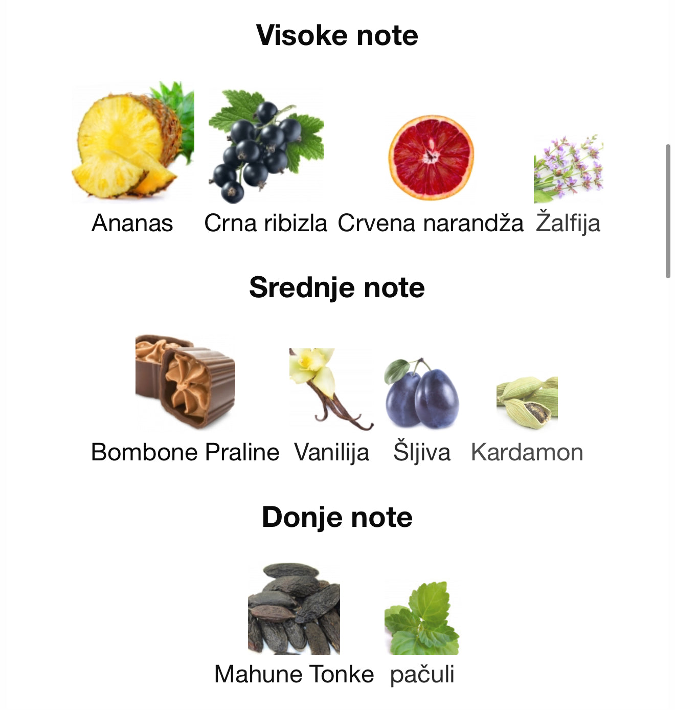 Odyysey Revolution Ultra Edition by Armaf