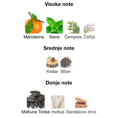 Alpine Homme Sport by Maison Alhambra