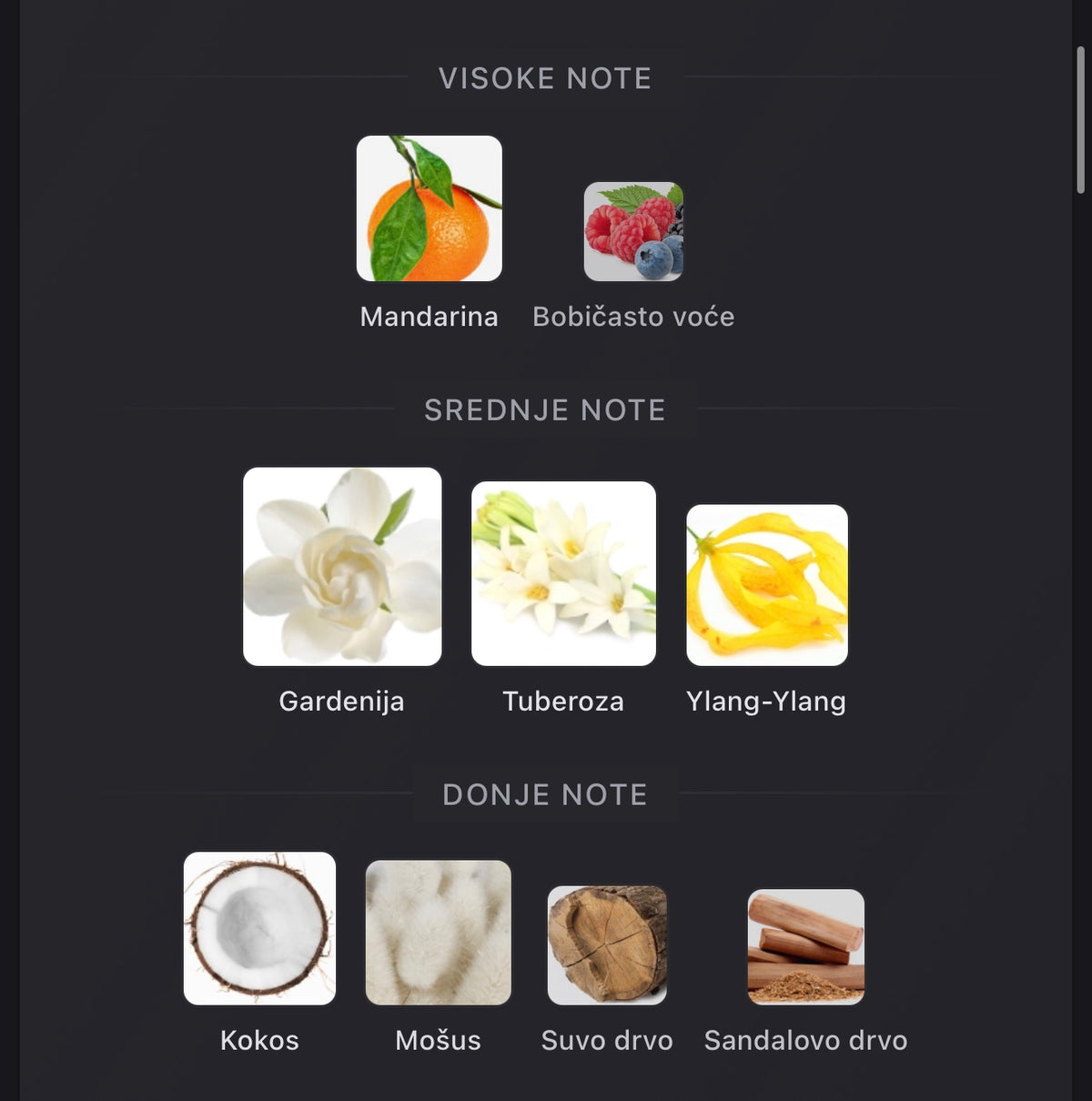 Lynked Forever Afnan
