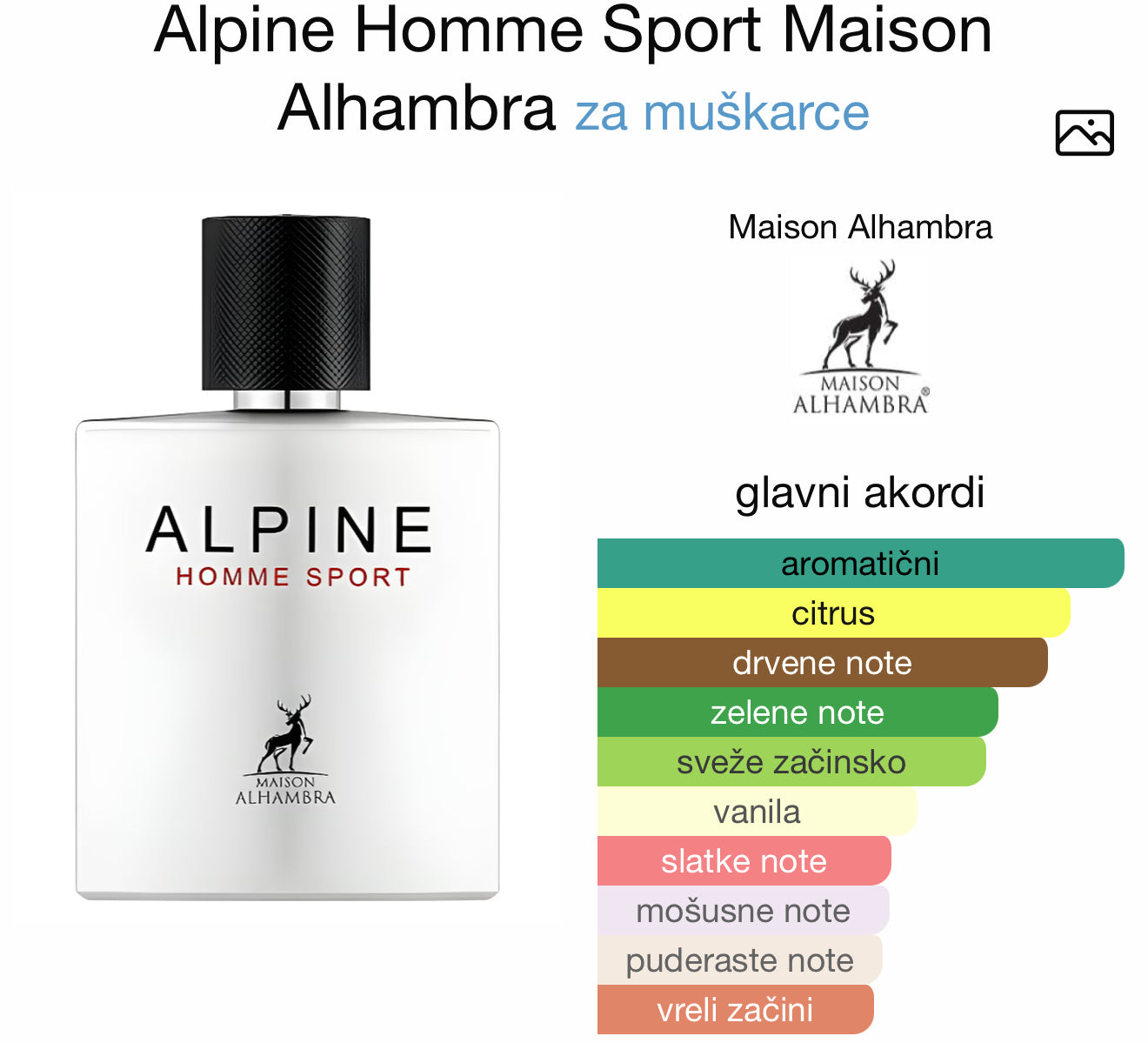 Alpine Homme Sport by Maison Alhambra