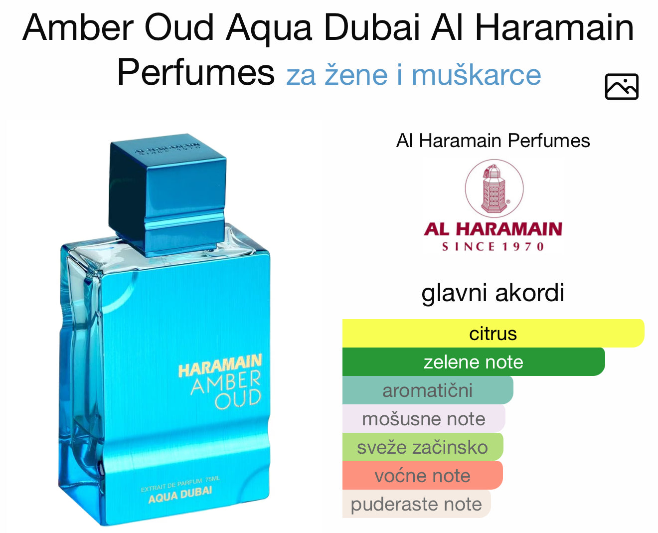 Amber Oud Aqua Dubai by Swiss Arabian