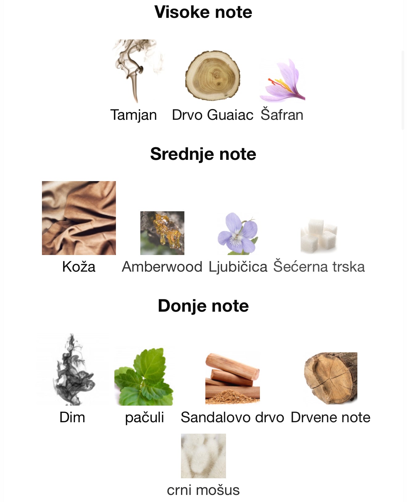 Spectre by French Avenue