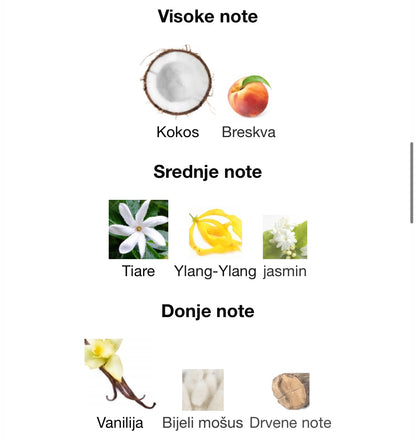 Montaigne Coco by Maison Alhambra