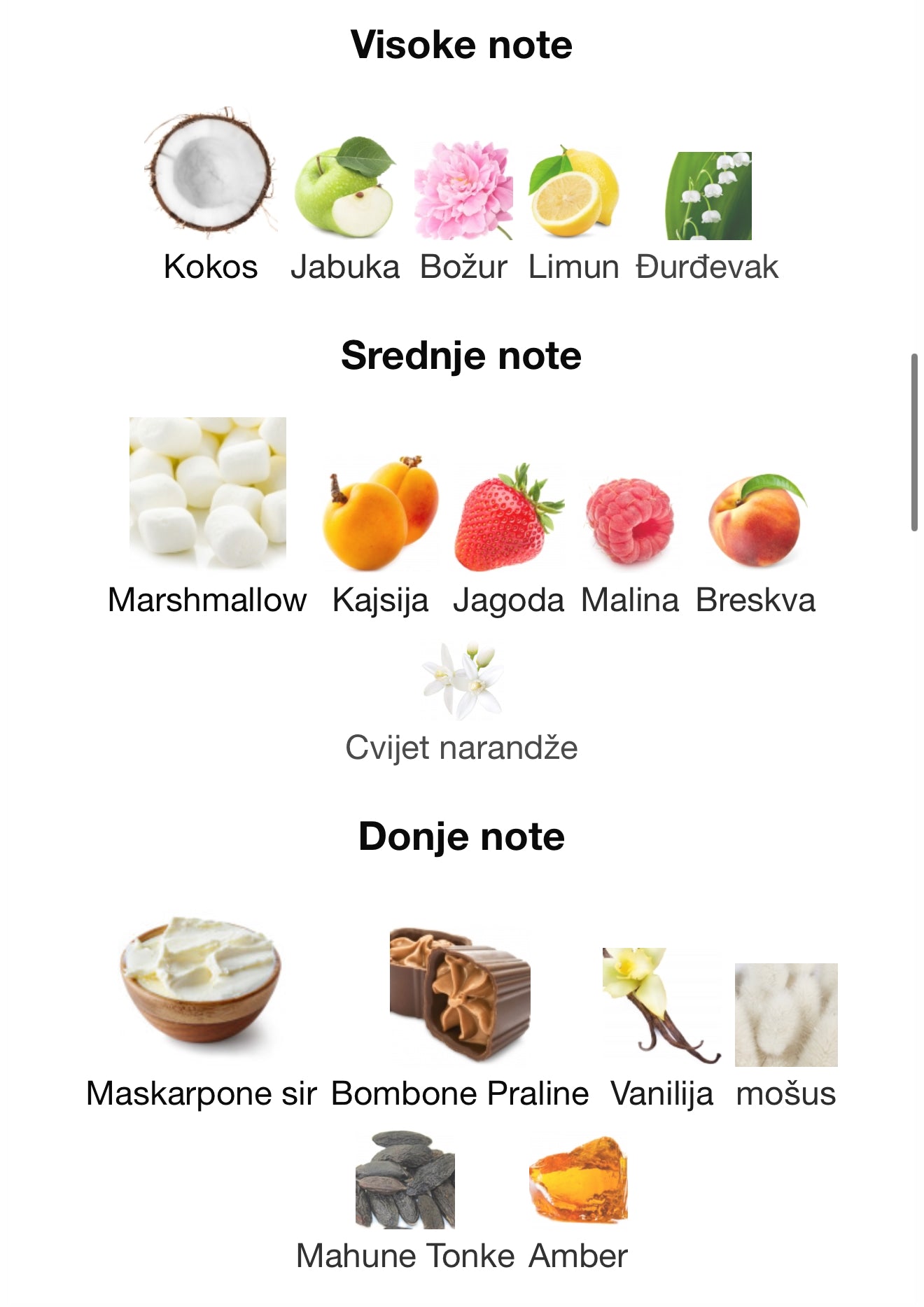 Odyysey Marshmallow by Armaf