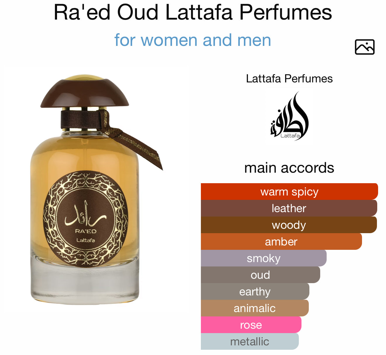 Ra'ed Oud by Lattafa