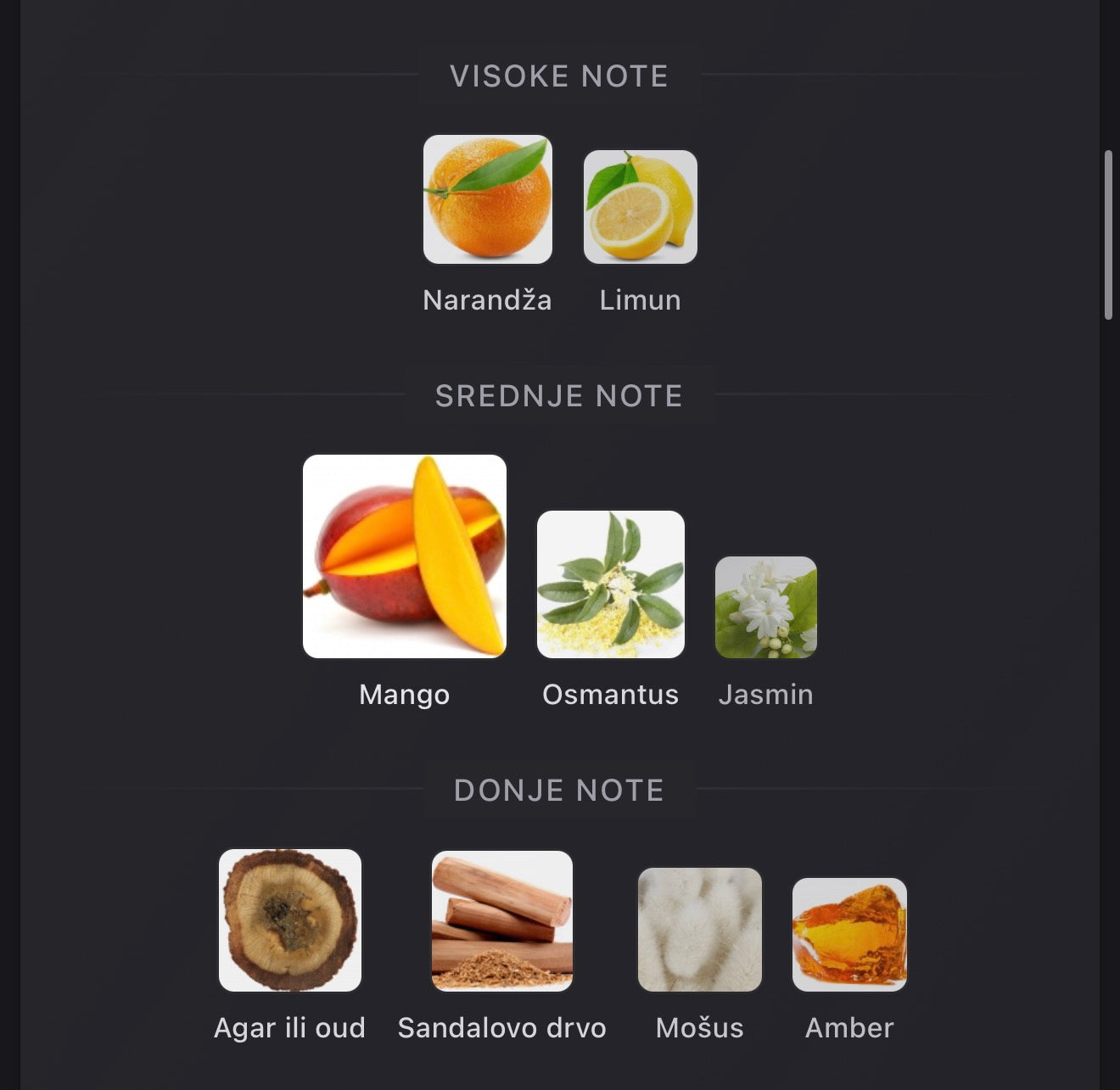 Ajayeb Dubai Portrait