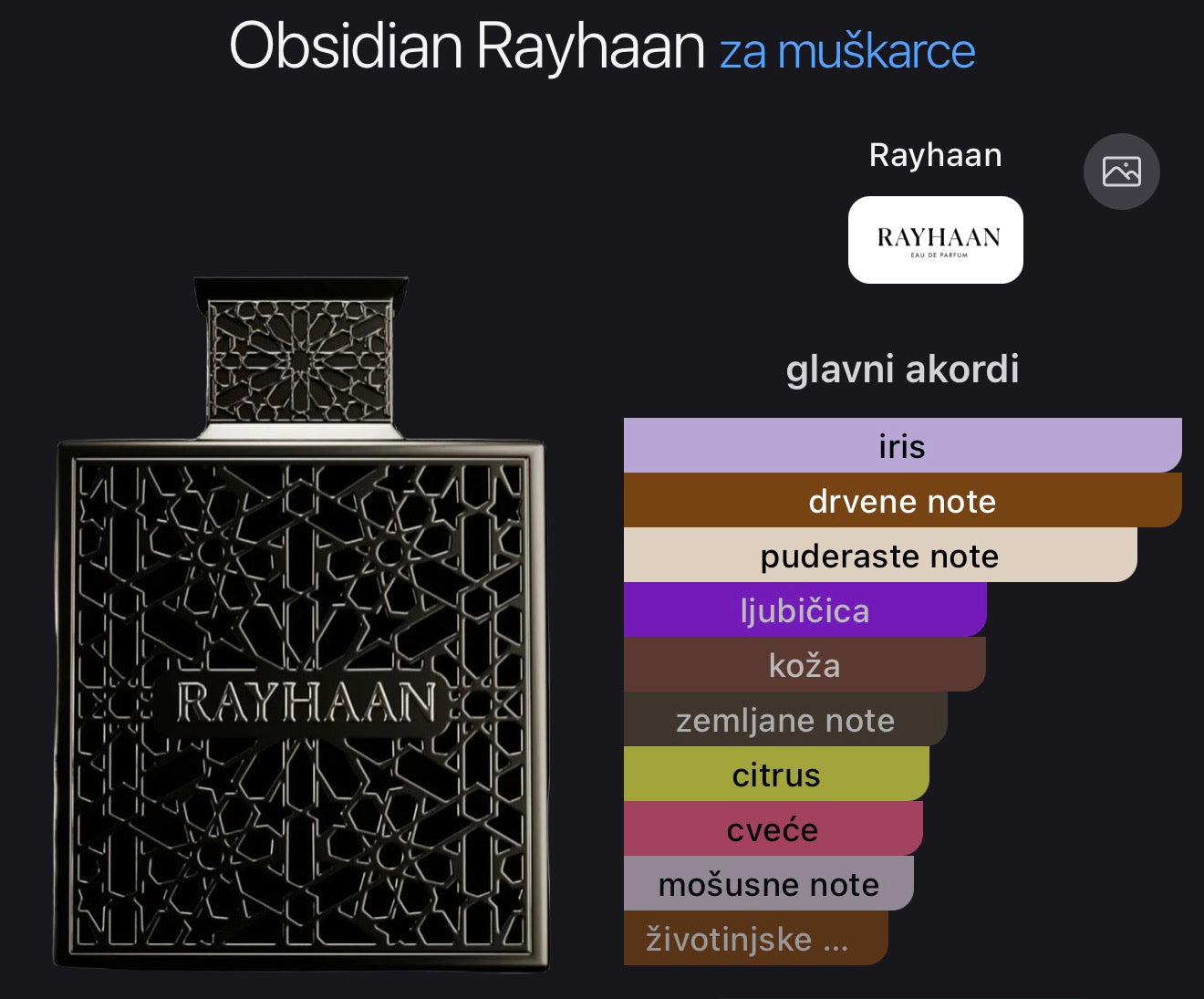 Rayhaan Obsidian