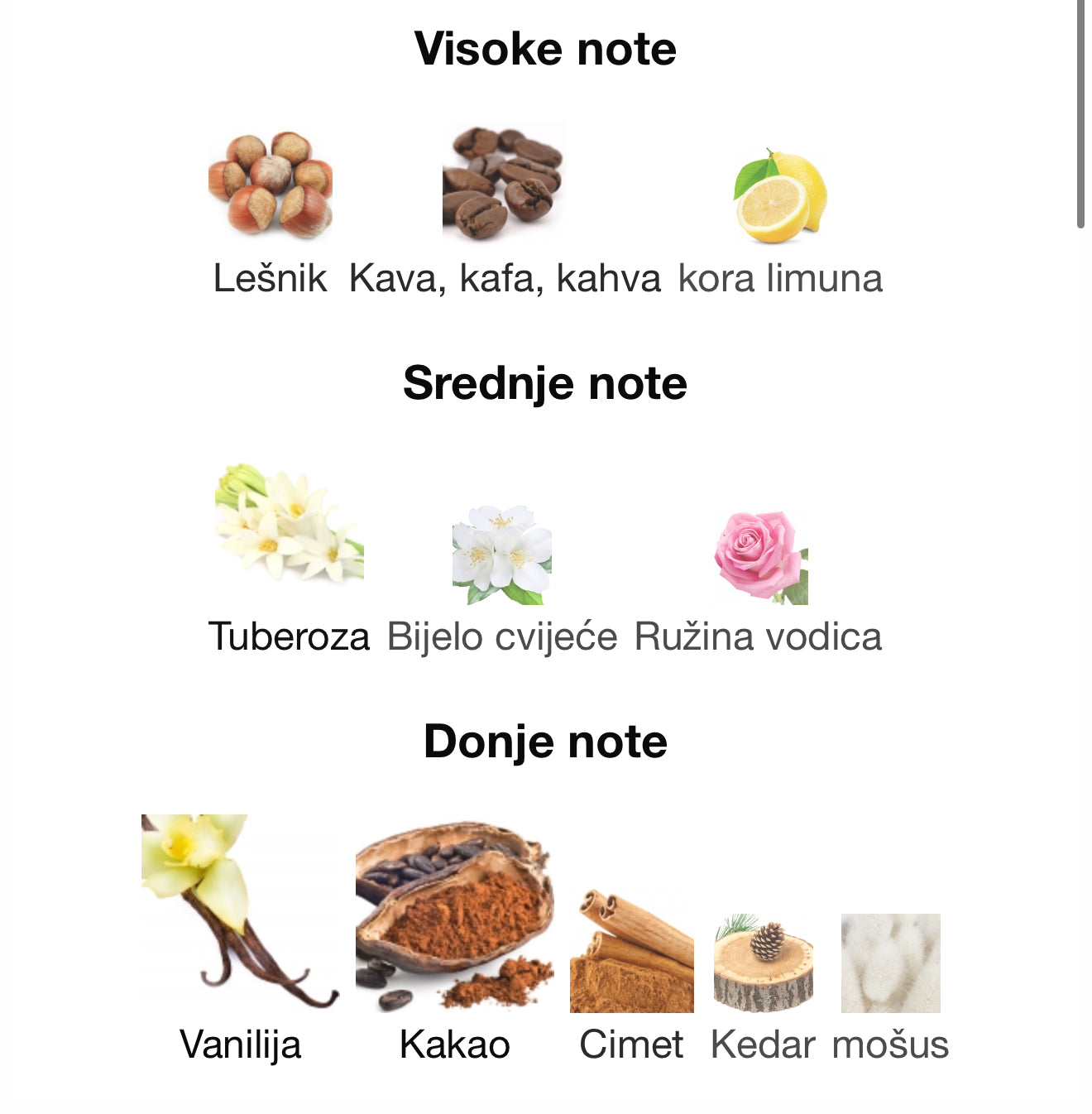 Privè Oros Gold by Riiffs